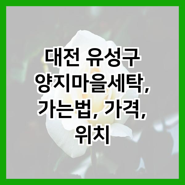 양지세탁 이미지