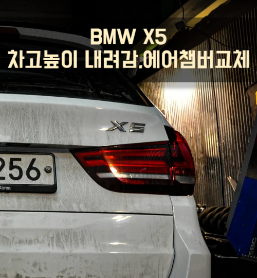 준게라지 이미지