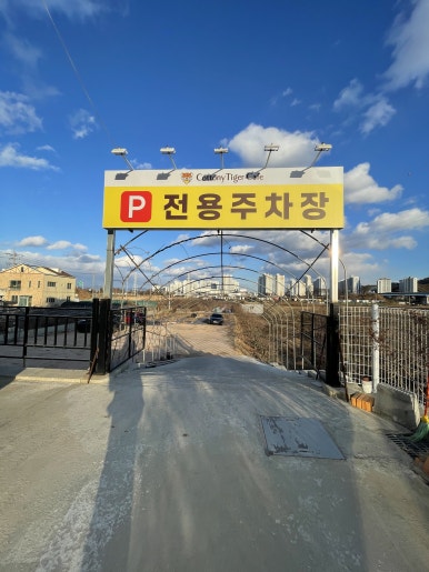 코트니타이거 이미지