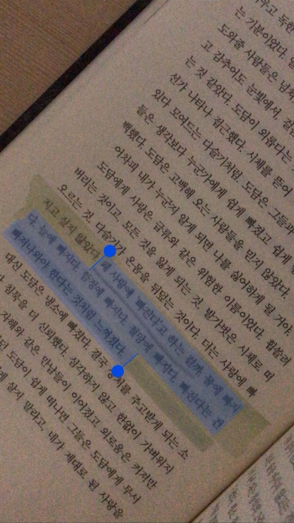 무샤무샤 이미지