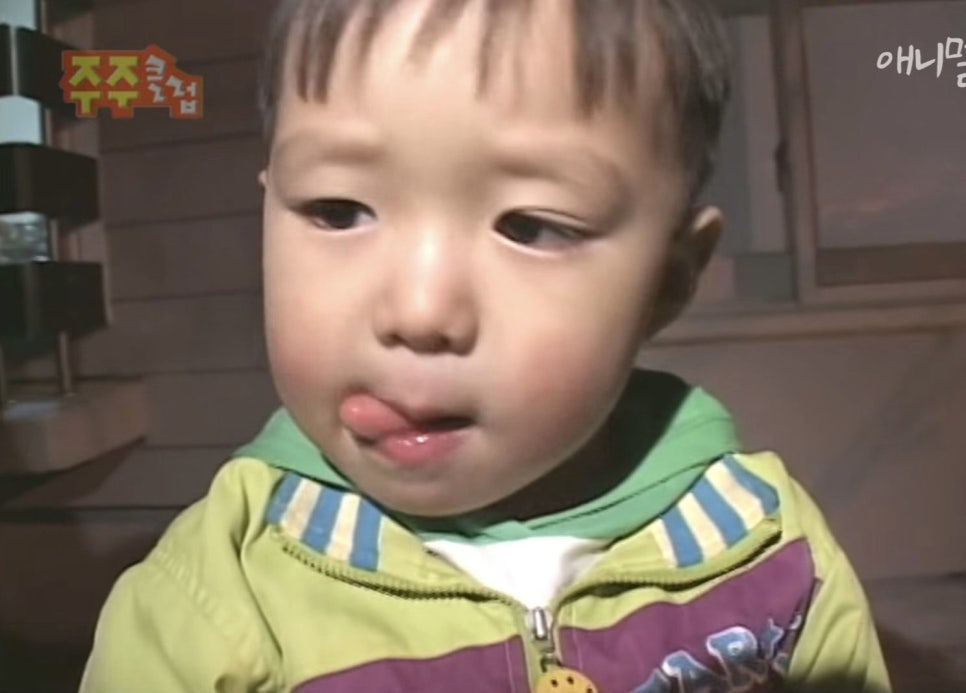 멜티도나 이미지