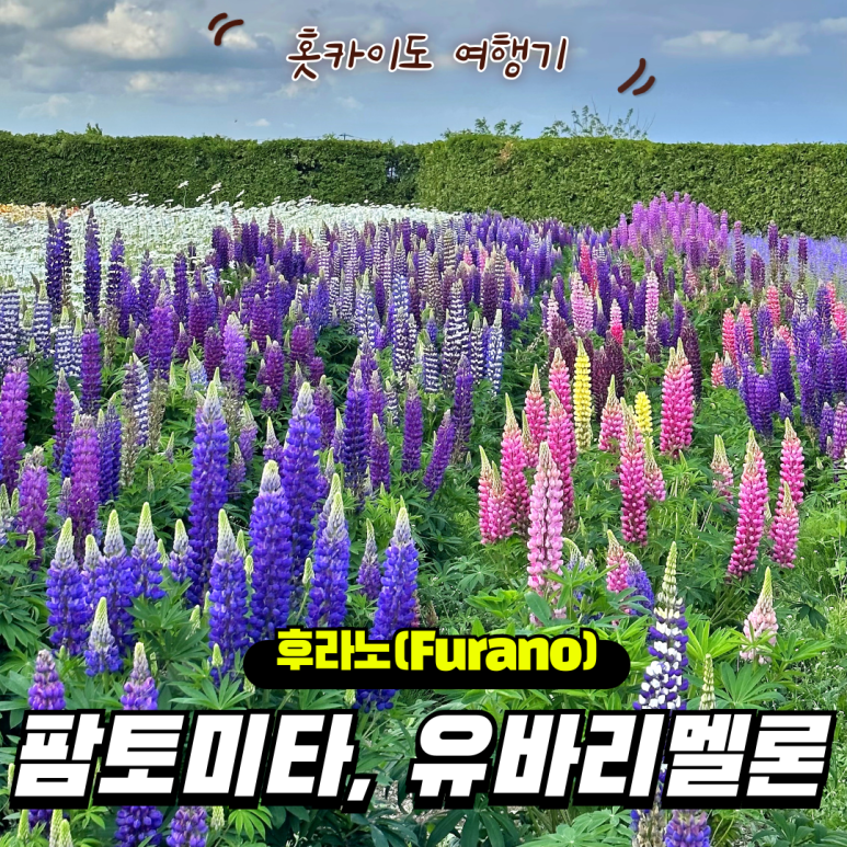 (주)라벤더투어 이미지