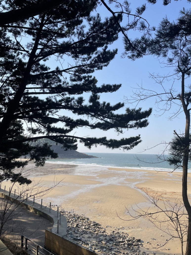 카페더잇 이미지