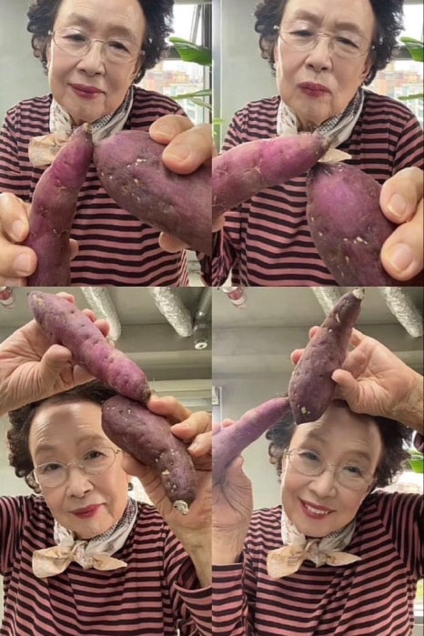 구떼 이미지