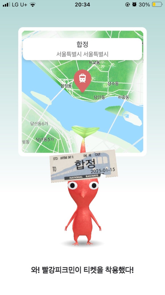 베이징코야주 이미지
