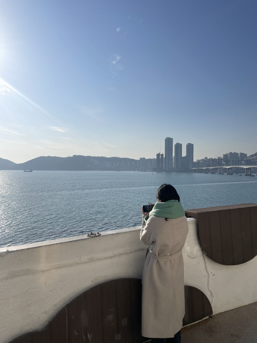 CC콜렉트 이미지