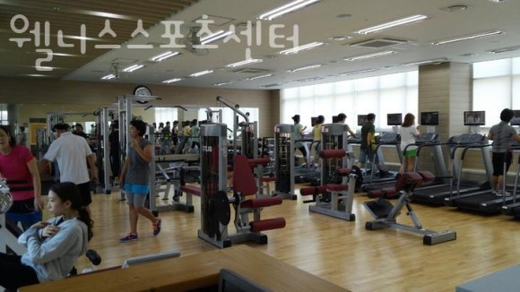 웰니스스포츠 이미지