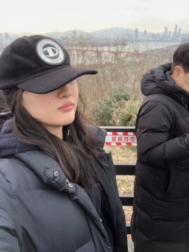 베이징코야주 이미지