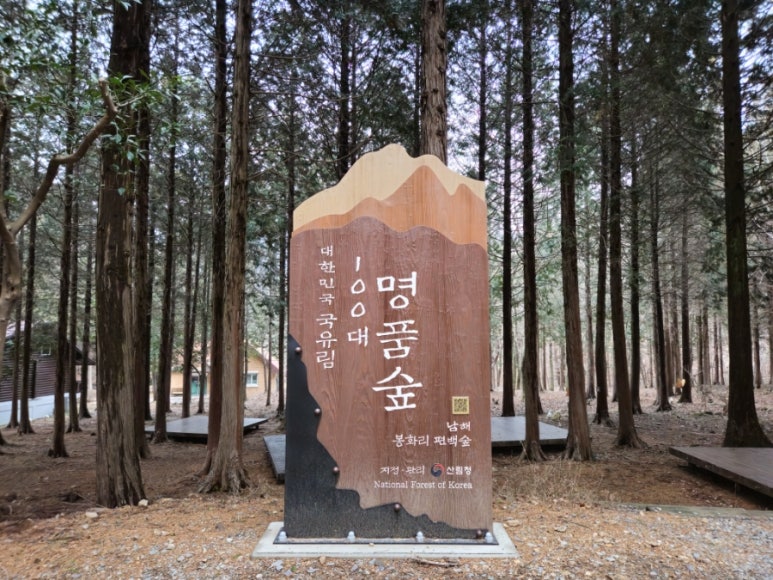 남해편백자연휴양림 이미지