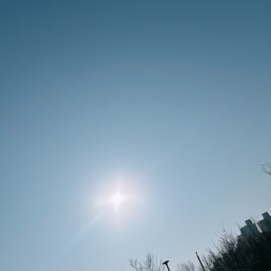 대화체육관 이미지