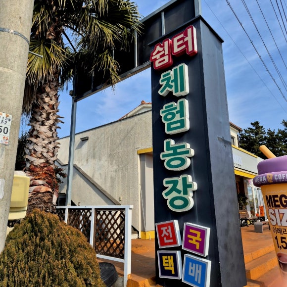 제주메가투어 이미지