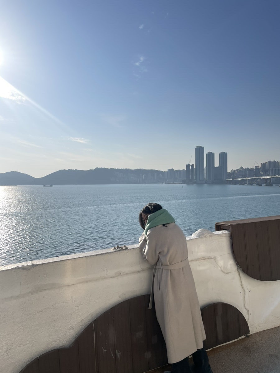 CC콜렉트 이미지