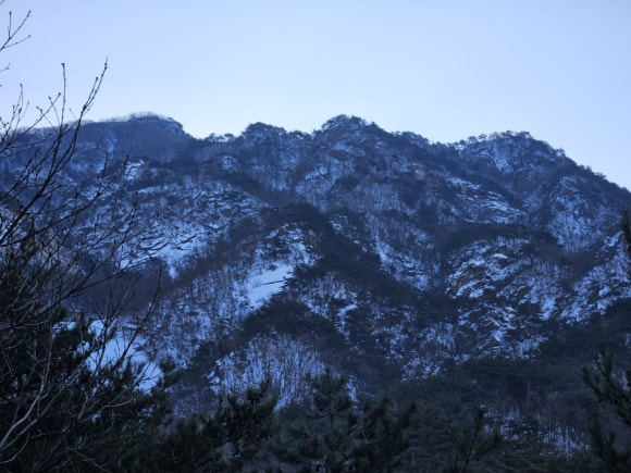 멋찐여우 이미지
