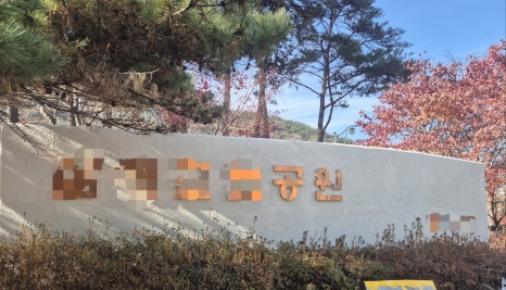 클리뉴 이미지