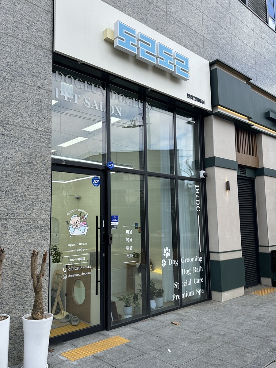대구 강아지 미용: 북구 도근도근 위생미용 후기 — 사진 4