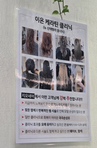지오네어 이미지