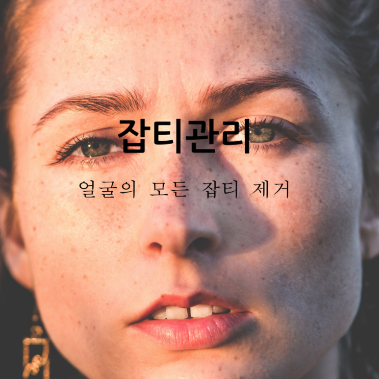 새벽라인 이미지