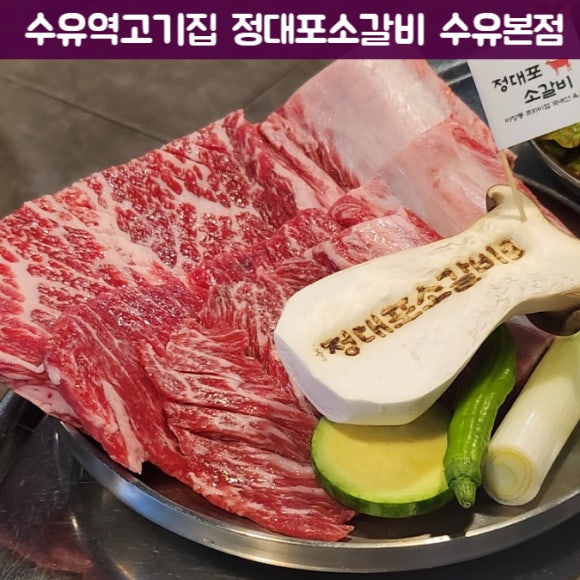 젤라정 이미지