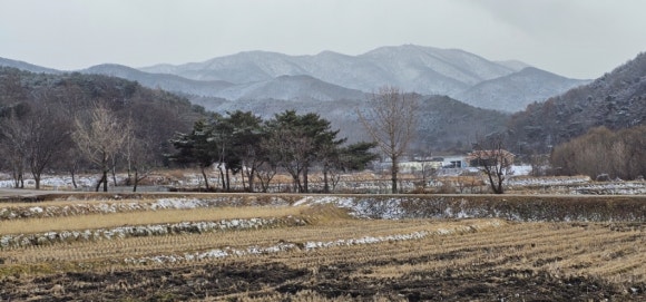 딸만셋이예요 이미지