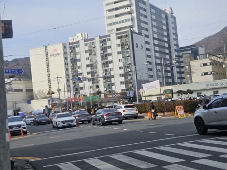 금향 이미지
