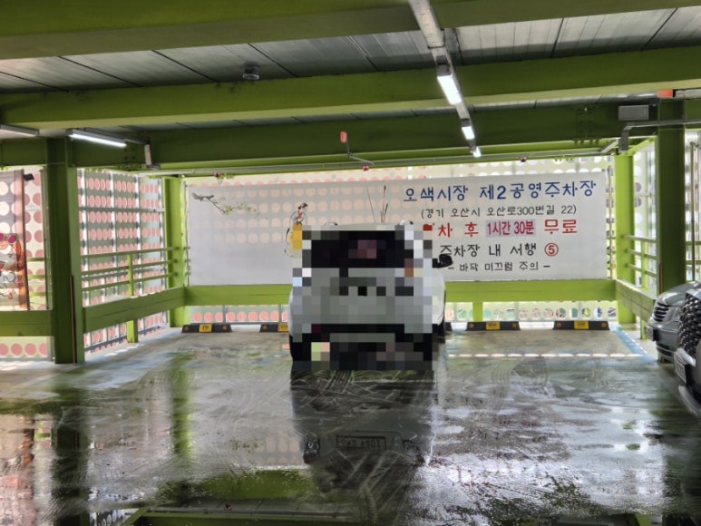 도씨네홍어 이미지
