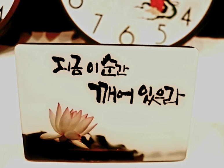 [ 뇌의 정보처리 -> 의식, 무의식, 단기기억, 장기기억, 운동, 신체 반응, 감정, 느낌, 판단, 예측, 통찰, 감각, 지각 ...