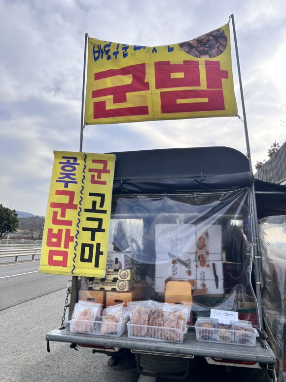 고고하우스푸드 이미지