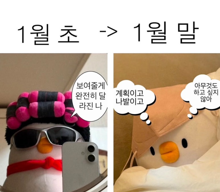 스타토 이미지
