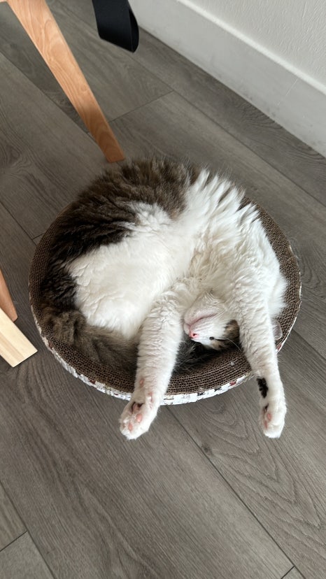 쁘니포차 이미지