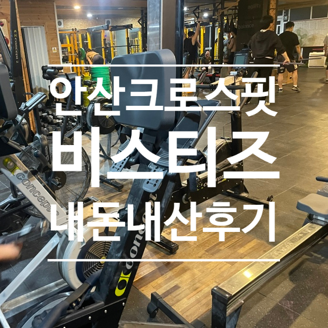비스티즈 이미지