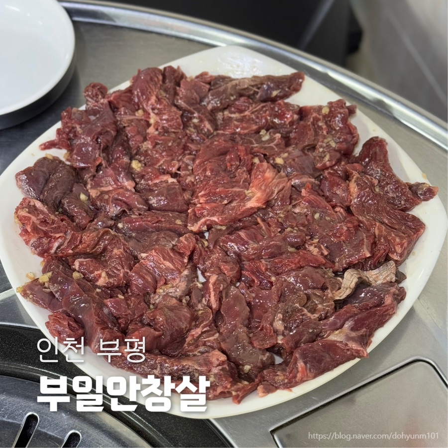 부일안창살 이미지