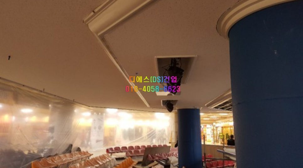 드디에스 이미지
