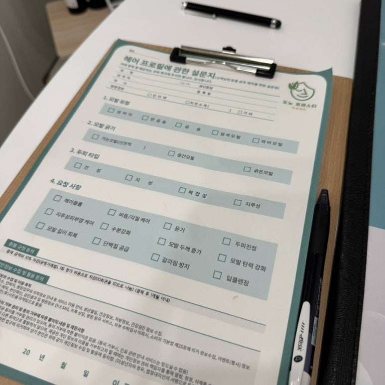 도노포레스타 이미지