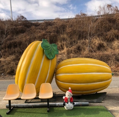 카페옐롱 이미지