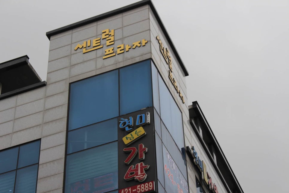 백가발 이미지