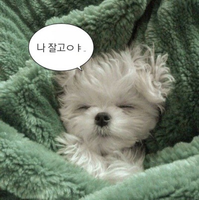 밈밈케이쿠 이미지