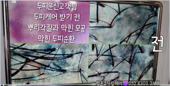 큐사랑미채뷰티 이미지