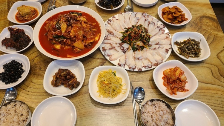 동해문어 이미지