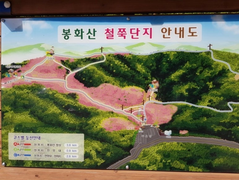 봉화산커피 이미지
