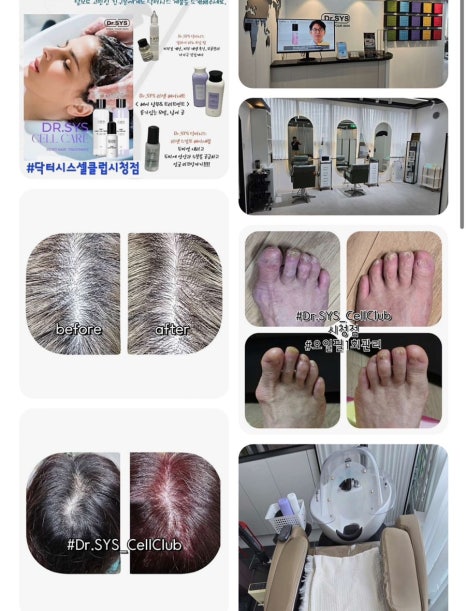 닥터시스 셀클럽 이미지