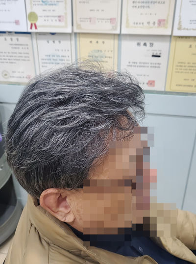 가모미모 이미지