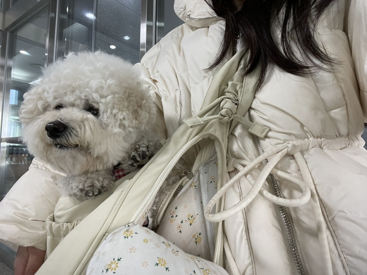 포레스트명례 이미지