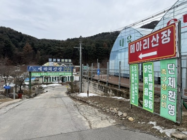 술속의밤 마곡점 이미지