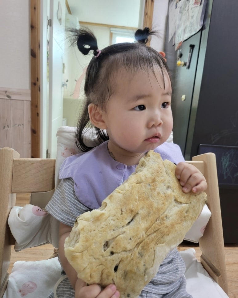 얼리브레드 이미지