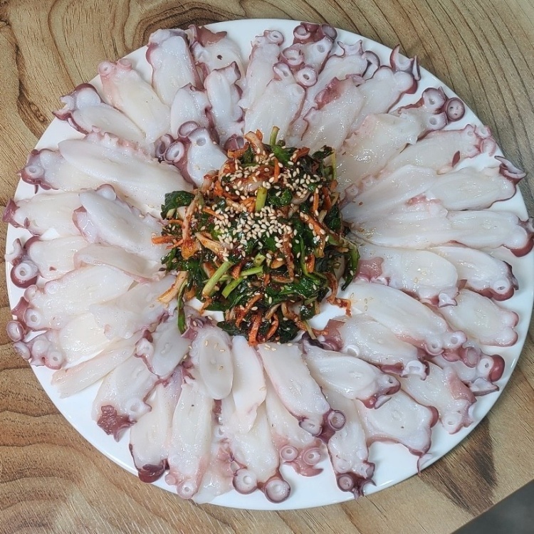 동해문어 이미지