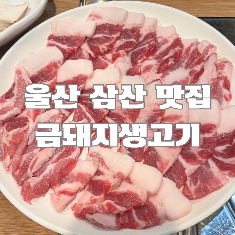 금돼지생고기 이미지