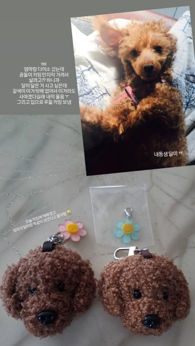 복달이 이미지