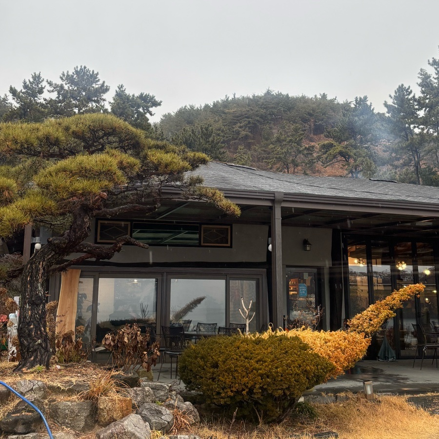 달뜨는비오리 이미지