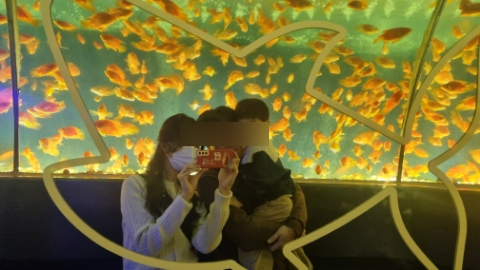 릿파이샵 이미지