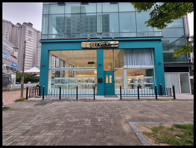 펫블리 이미지